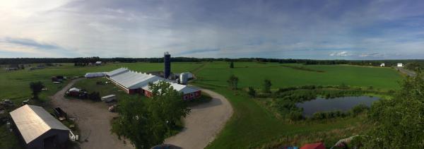 Melkveehouderij in Whitney New Brunswick Canada