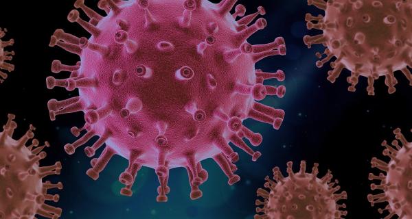 het coronavirus en verhuizingen via De Jong