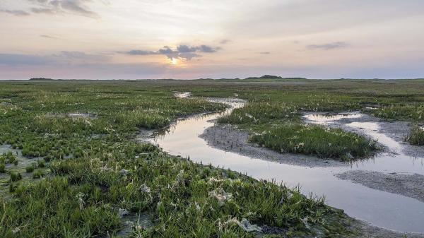 wonen op schiermonnikoog